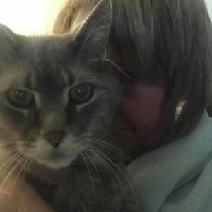 Meet your Posher, Maureen